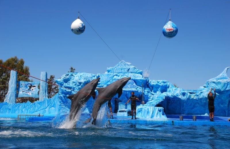 OCEANÁRIO MUNDO MARINO