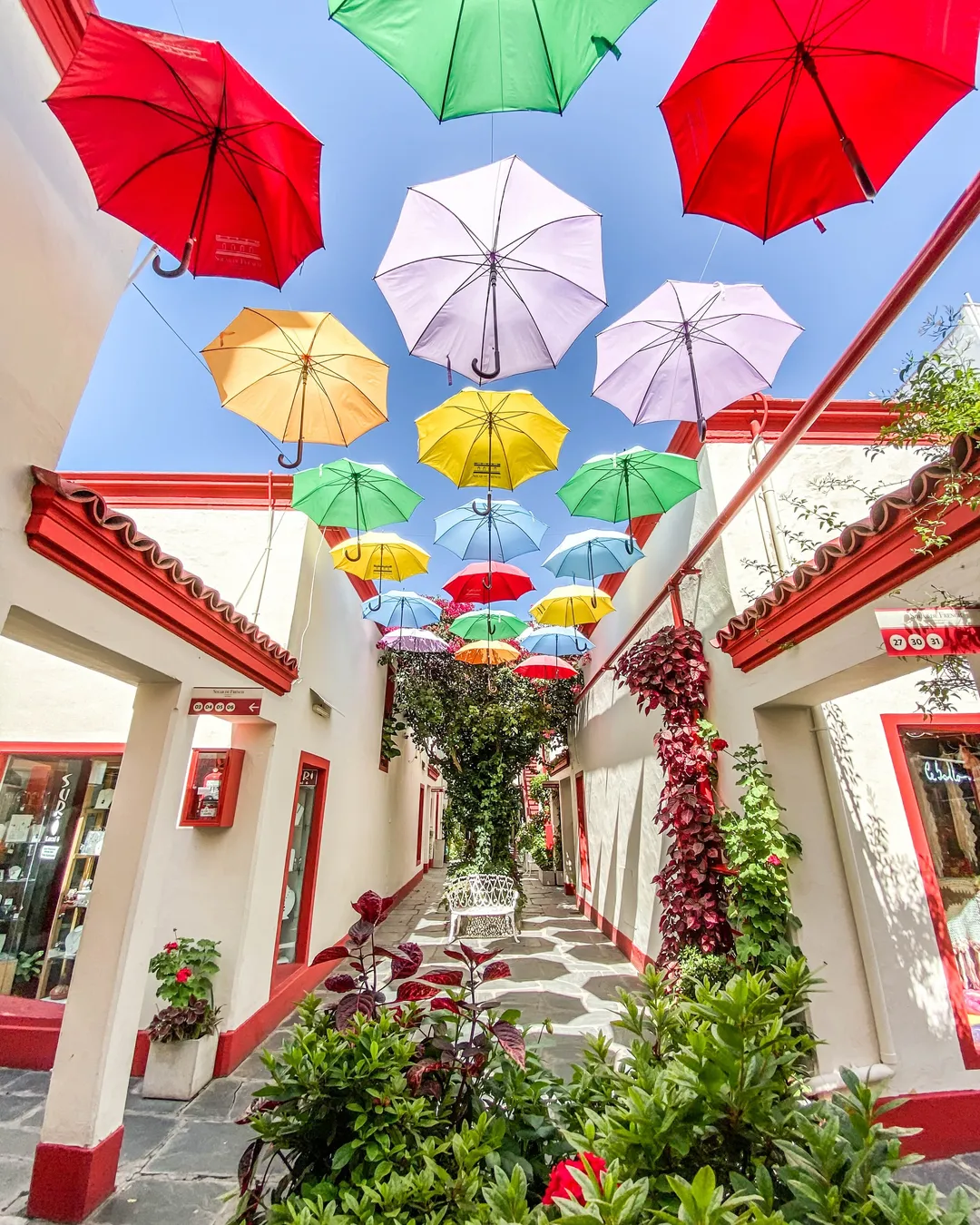 CITY TOUR PRIVATIVO 5 HORAS