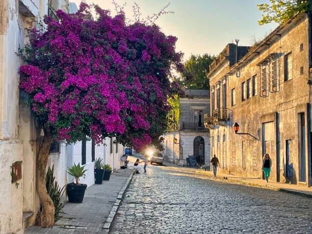 COLÔNIA DAY URUGUAI – COM GUIA